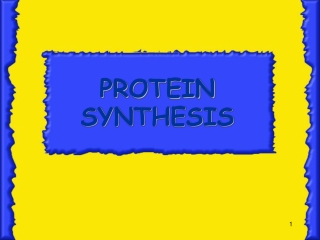 PROTEIN SYNTHESIS