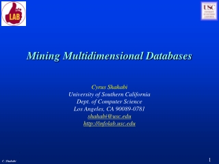 Mining Multidimensional Databases