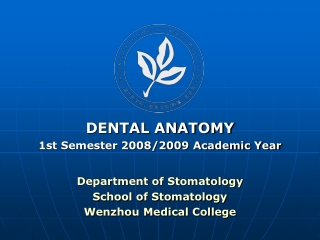 DENTAL ANATOMY 1st Semester 2008/2009 Academic Year Department of Stomatology
