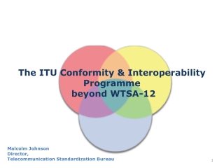The ITU Conformity &amp; Interoperability Programme  beyond WTSA-12