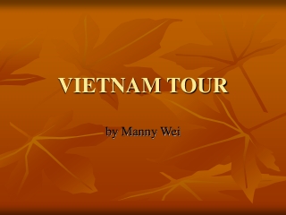 VIETNAM TOUR