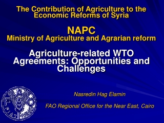 Nasredin Hag Elamin FAO Regional Office for the Near East, Cairo