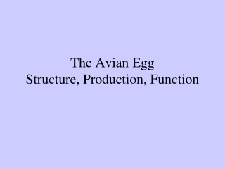 The Avian Egg Structure, Production, Function