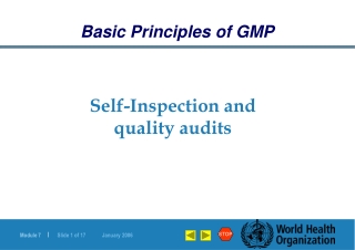 Self-Inspection and quality audits