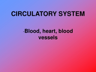 CIRCULATORY SYSTEM