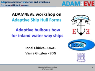 ADAM4EVE workshop on  Adaptive Ship Hull Forms