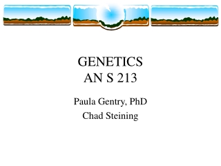 GENETICS AN S 213