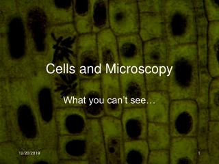 Cells and Microscopy