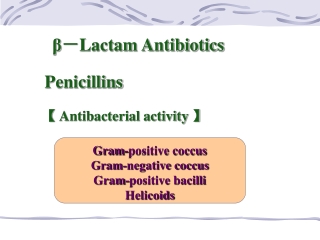 β － Lactam Antibiotics