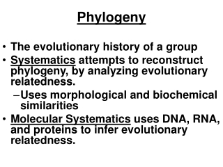 Phylogeny