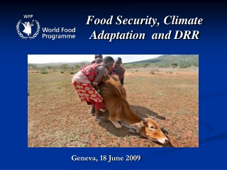 Food Security, Climate Adaptation  and DRR