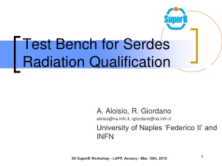 Test Bench for Serdes Radiation Qualification