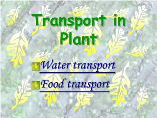 Transport in Plant