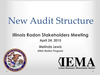 New Audit Structure