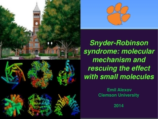 Snyder-Robinson syndrome: molecular mechanism and rescuing the effect with small molecules