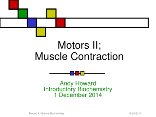 Motors II; Muscle Contraction