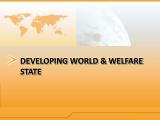 DEVELOPING WORLD &amp; WELFARE STATE