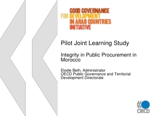Pilot Joint Learning Study Integrity in Public Procurement in Morocco