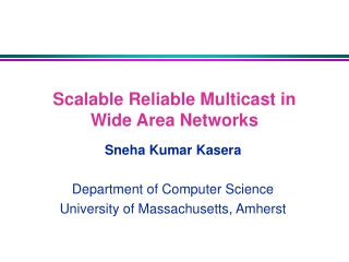 Scalable Reliable Multicast in Wide Area Networks