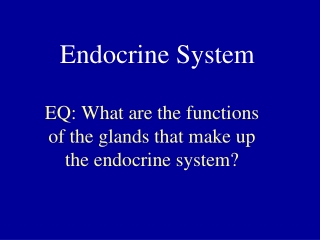 Endocrine System