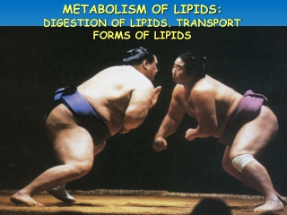 METABOLISM OF LIPIDS: DIGESTION OF LIPIDS. TRANSPORT            FORMS OF LIPIDS