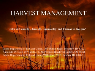 HARVEST MANAGEMENT