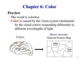 Chapter 6: Color