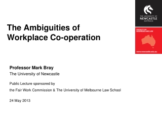 The Ambiguities of  Workplace Co-operation