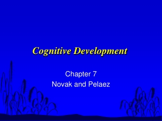 Cognitive Development