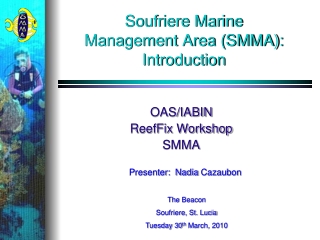 Soufriere Marine  Management Area (SMMA):  Introduction