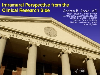 Intramural Perspective from the  Clinical Research Side