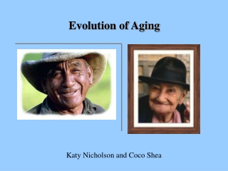 Evolution of Aging