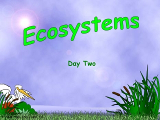 Ecosystems