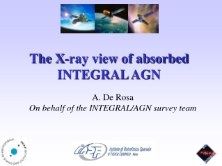 The X-ray view of absorbed INTEGRAL AGN