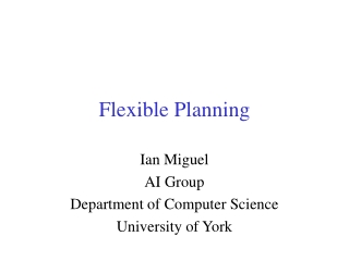 Flexible Planning