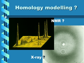 Homology modelling ?