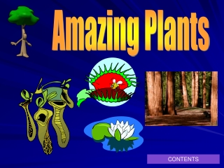 Amazing Plants