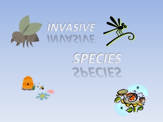 INVASIVE                SPECIES