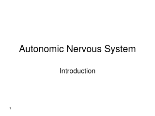 Autonomic Nervous System