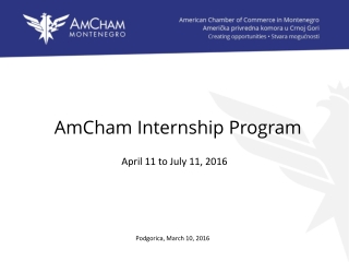 AmCham Internship Program