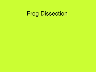 Frog Dissection