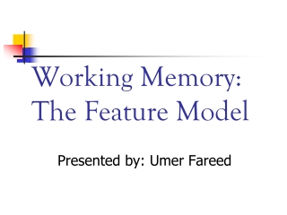 Working Memory: The Feature Model