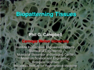 Phil G. Campbell  Carnegie Mellon University Institute for Complex Engineered Systems