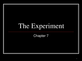 The Experiment