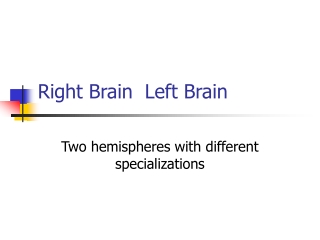 Right Brain  Left Brain