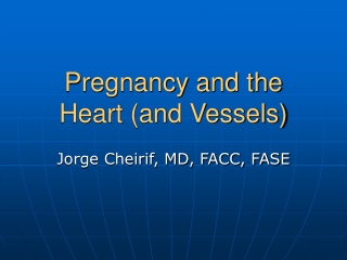 Pregnancy and the Heart (and Vessels)