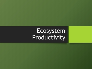 Ecosystem Productivity