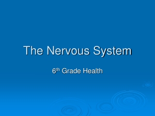 The Nervous System