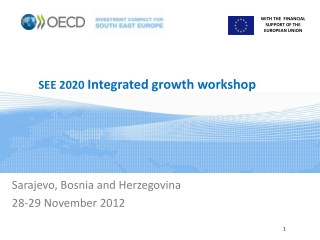 SEE 2020  Integrated growth workshop