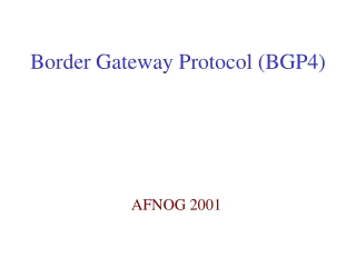 Border Gateway Protocol (BGP4)